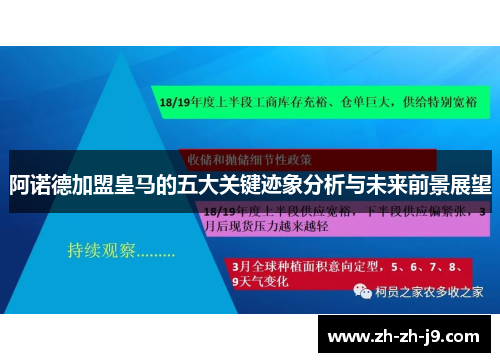 阿诺德加盟皇马的五大关键迹象分析与未来前景展望