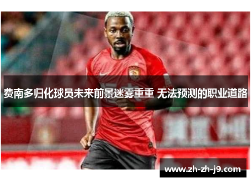 费南多归化球员未来前景迷雾重重 无法预测的职业道路