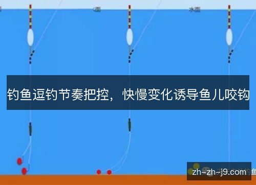 钓鱼逗钓节奏把控,快慢变化诱导鱼儿咬钩 钓鱼逗钓节奏把控,快慢变化诱导鱼儿咬钩